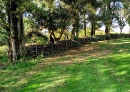 Dead hedge - end of Day 2 22102019