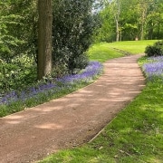 Fulford Heath Golf Club - Biodiversity Featured Image