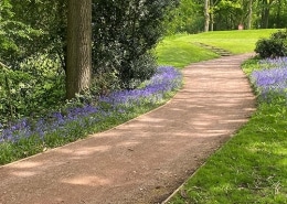 Fulford Heath Golf Club - Biodiversity Featured Image